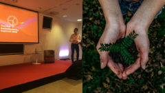 Udržateľný biznis po