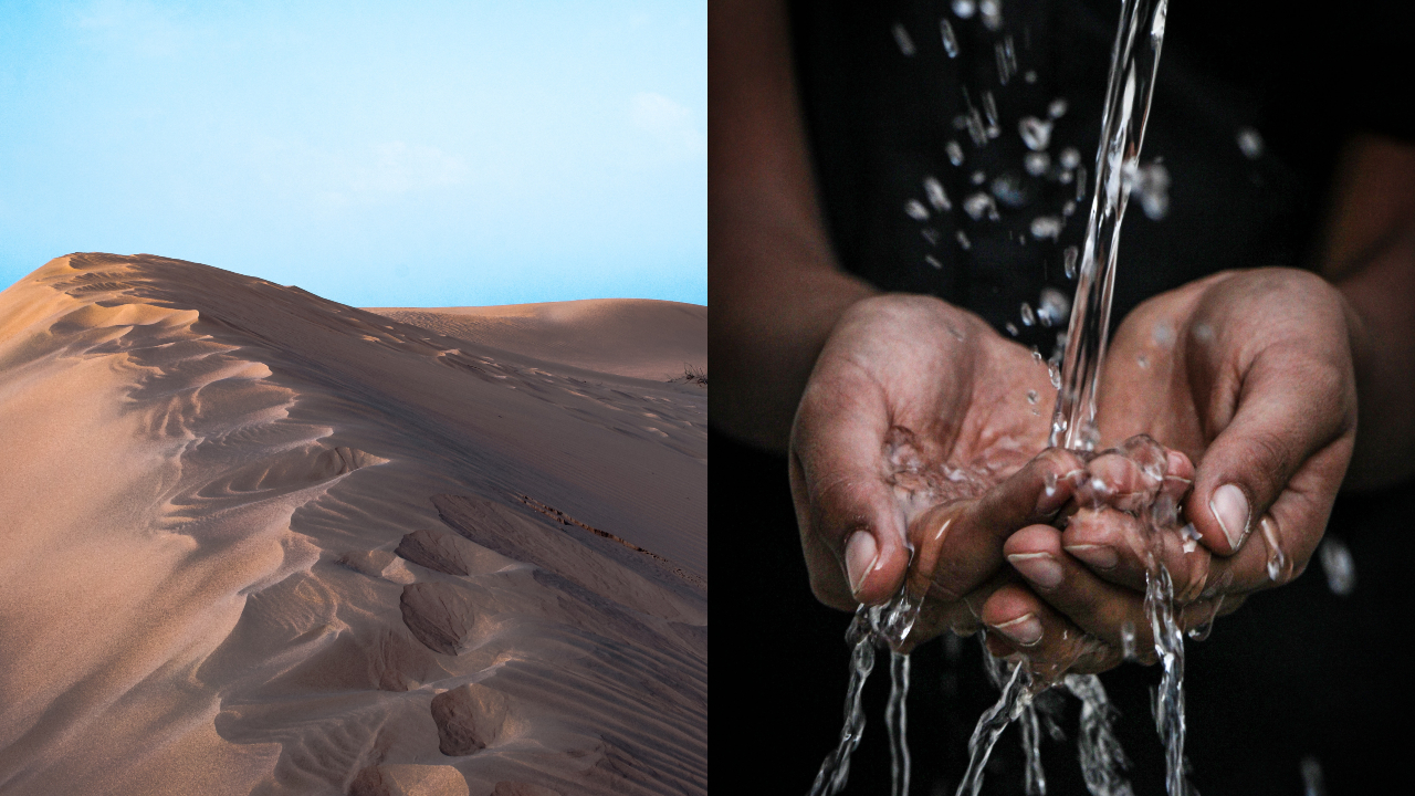 Ilustračný obrázok (unsplash.com)