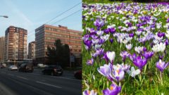 Bratislava sa rozhodla