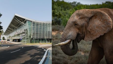 Najväčší slovenský predajca