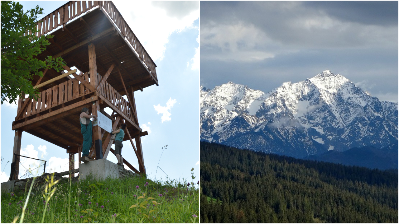 Rozhľadňa Okrúžná (Archív: Gréckokatolícka charita Prešov), Ilustračný obrázok (needpix.com)