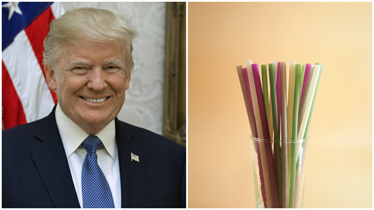 Doland Trump (Wikimedia, Shealah Craighead), Slamky (unsplash.com)