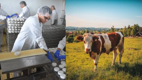 Tatranské mliekarne postavia