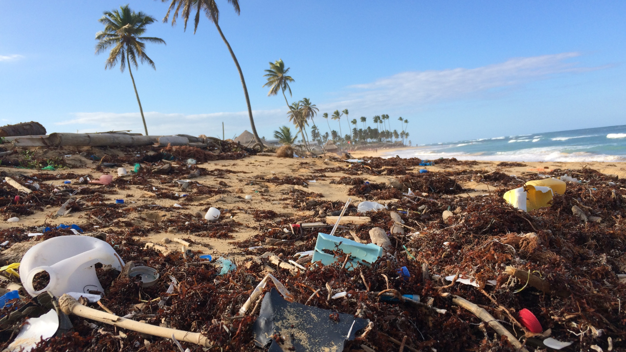 Ilustračný obrázok (unsplash.com)