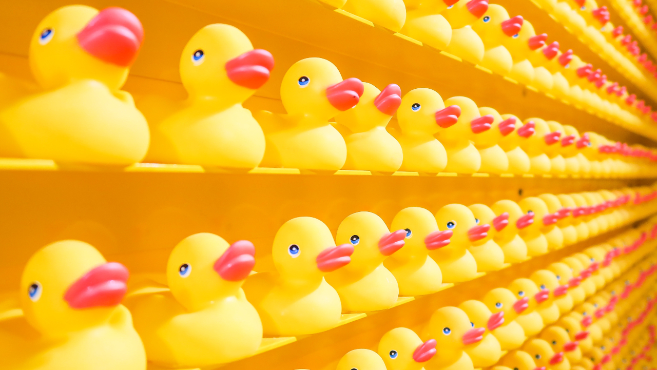 Ilustračný obrázok (unsplash.com)