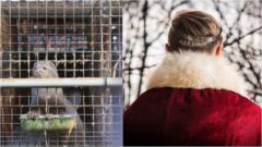 Ochranári vyjdú do