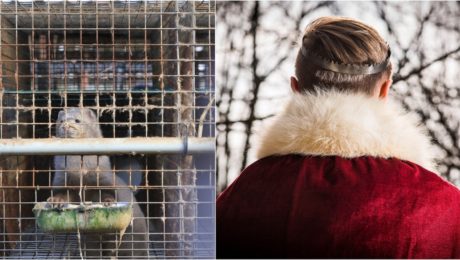 Ochranári vyjdú do