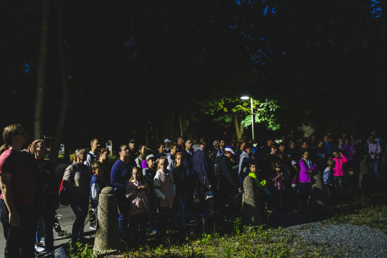 Oblastná organizácia cestovného ruchu