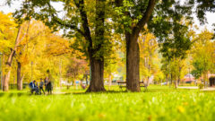 Bratislava môže byť