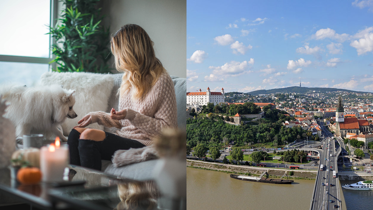 Ilustračný obrázok (unsplash.com), Wikimedia (Marc Ryckaert)