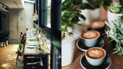 Sieť kaviarní Mondieu