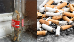 Bojujú za čistejšie