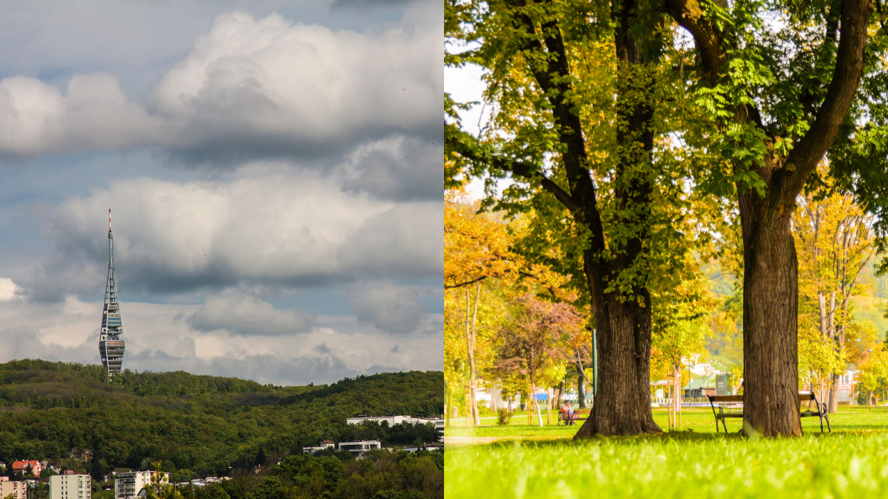 Ilustračný obrázok (Pixabay.com, unsplash.com)