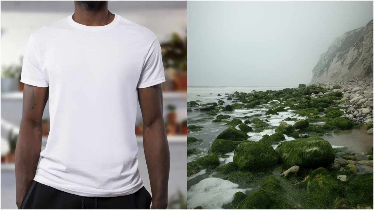 Ilustračný obrázok (unsplash.com)