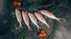 Vegánske burgre doplní