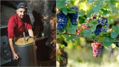 Zachraňuje opustené vinohrady