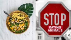 Tento projekt podporuje