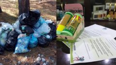 Buď vreckár. Desiatky