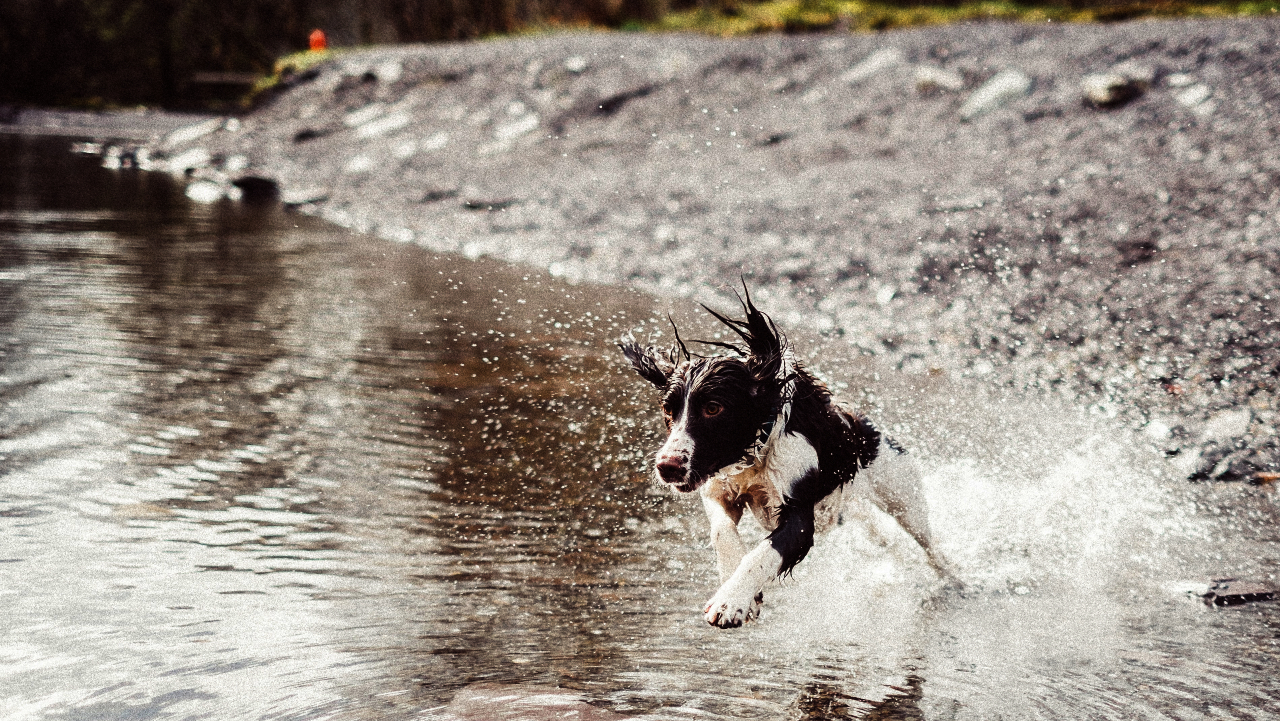 Ilustračný obrázok (unsplash.com)