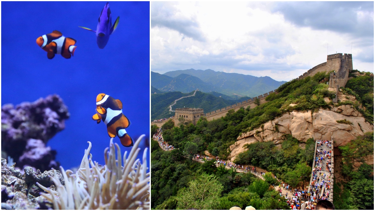 places which dispaear