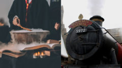 V Hagridovej chalupe