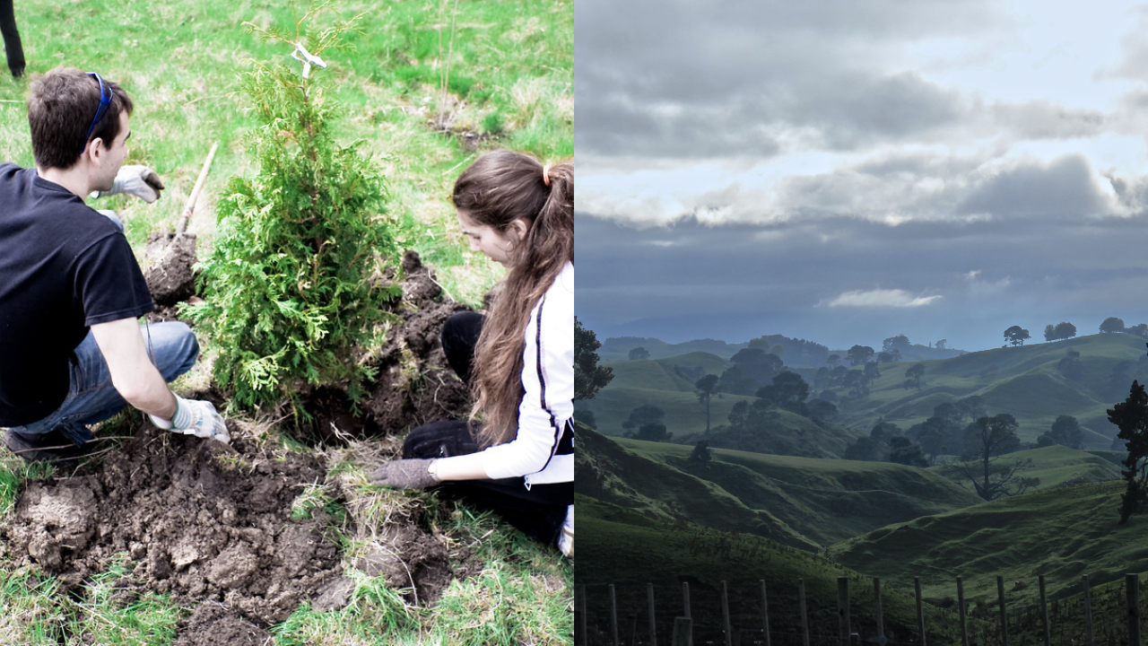 Ilustračný obrázok (Flickr.com – Alex Indigo), Unsplash.com