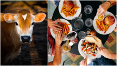 Reštaurácie budú musieť