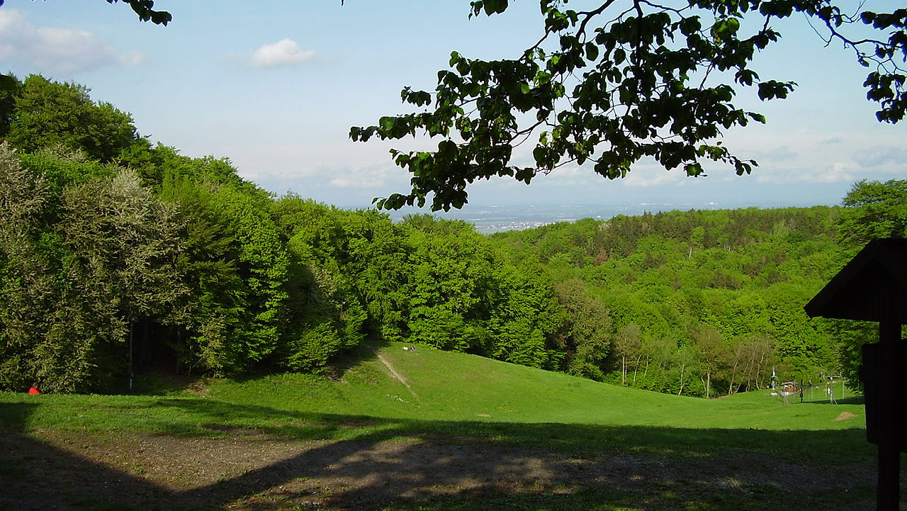 Cvičná lúka (Wikimedia, Wizzard)