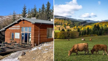 Objav magickú Chatu