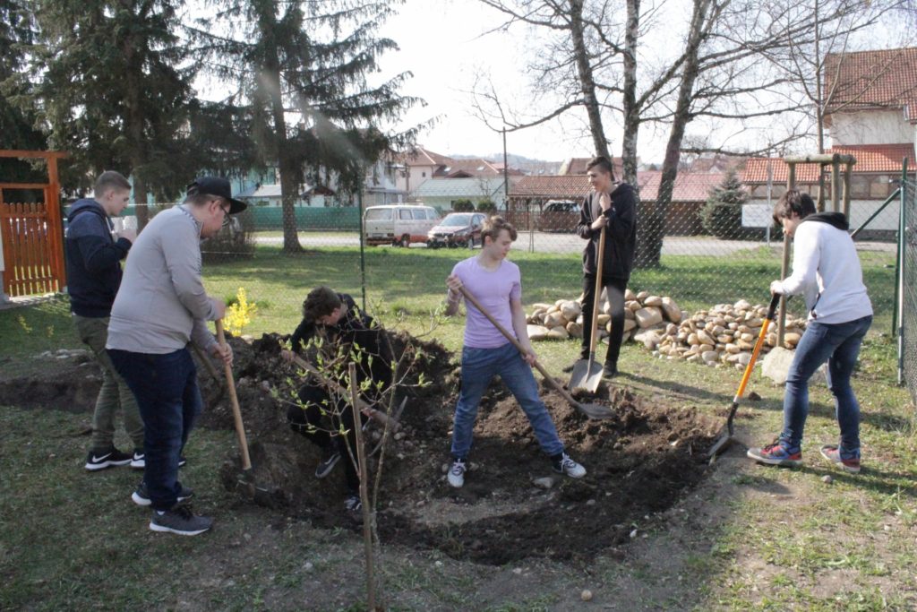 Archív Živica/DM drogerie markt