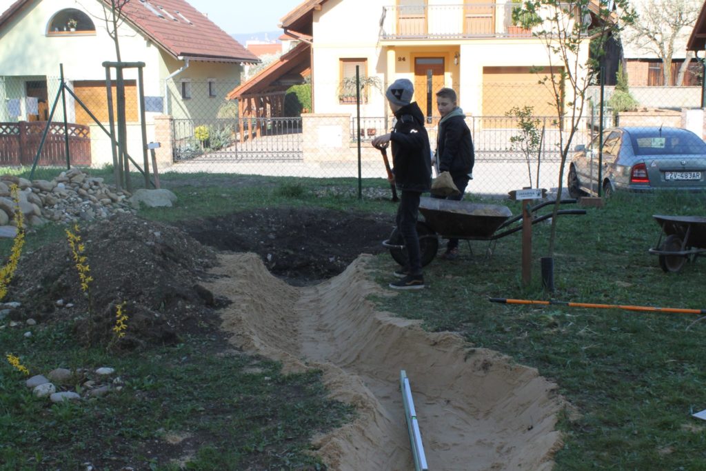 Archív Živica/DM drogerie markt