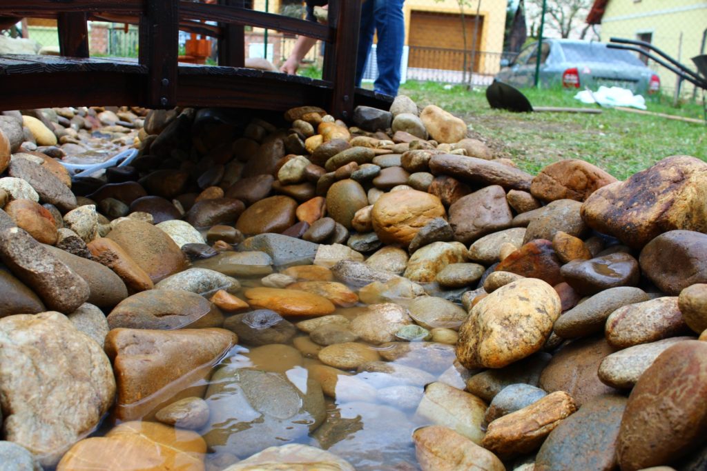 Archív Živica/DM drogerie markt