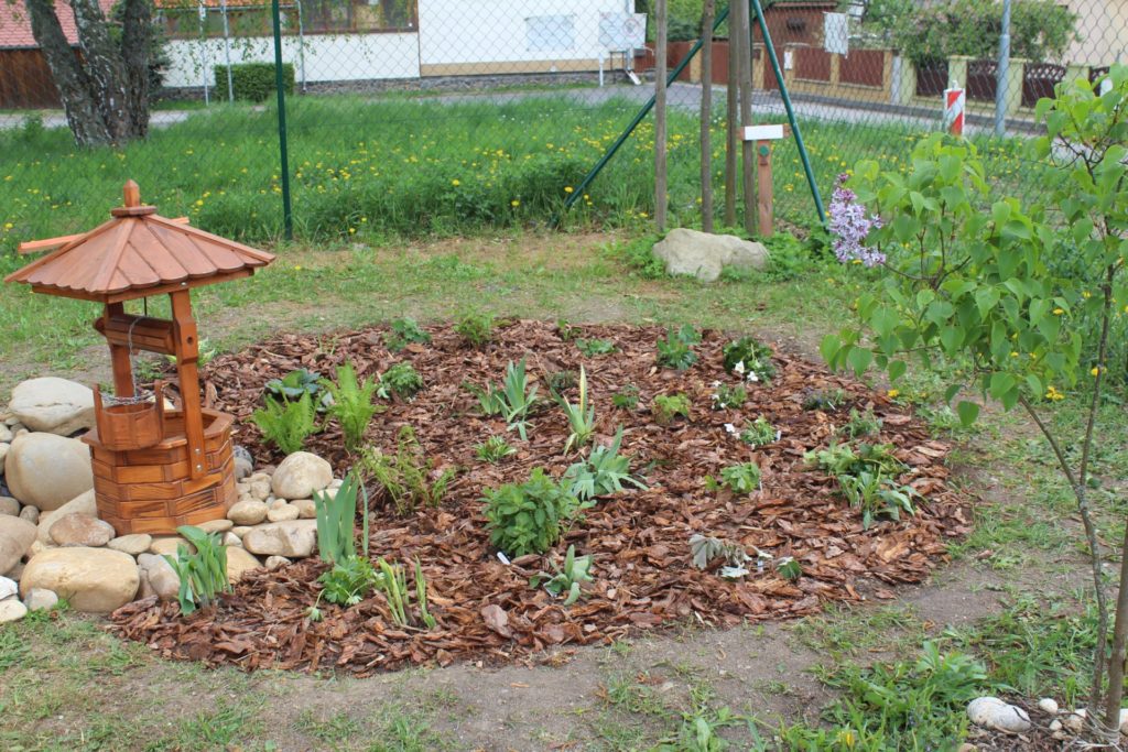 Archív Živica/DM drogerie markt
