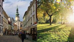 Bratislava bude zelenšia.
