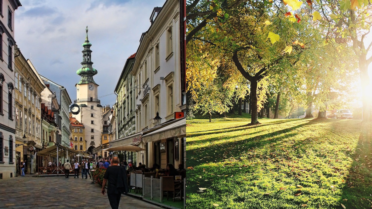 Nicepik, unsplash.com