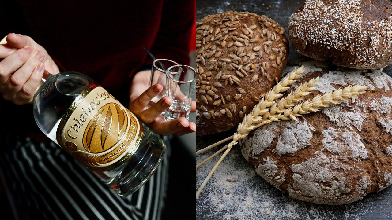 Archív: Startitup, Ilustračný obrázok (unsplash.com)