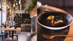 Bratislavské Selaví: Keď