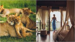 Hotel ponúka možnosť