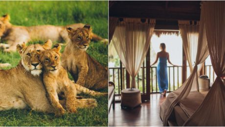 Hotel ponúka možnosť