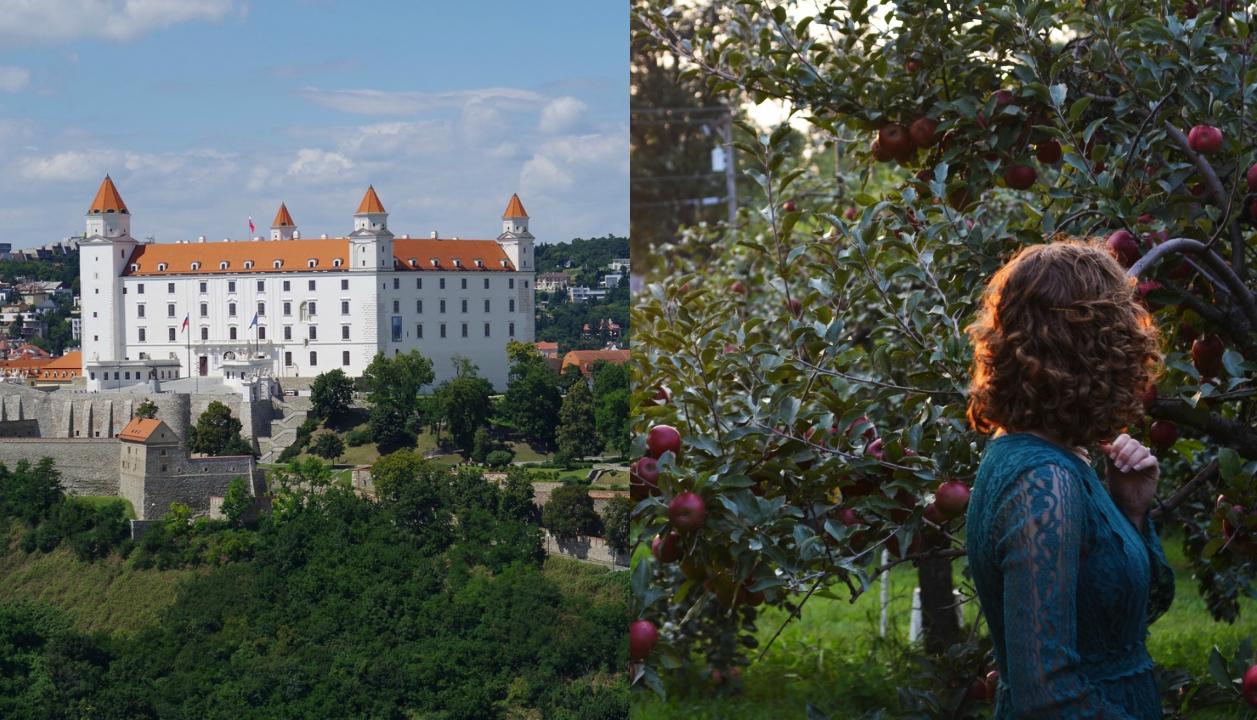 Ilustračný obrázok (unsplash.com)