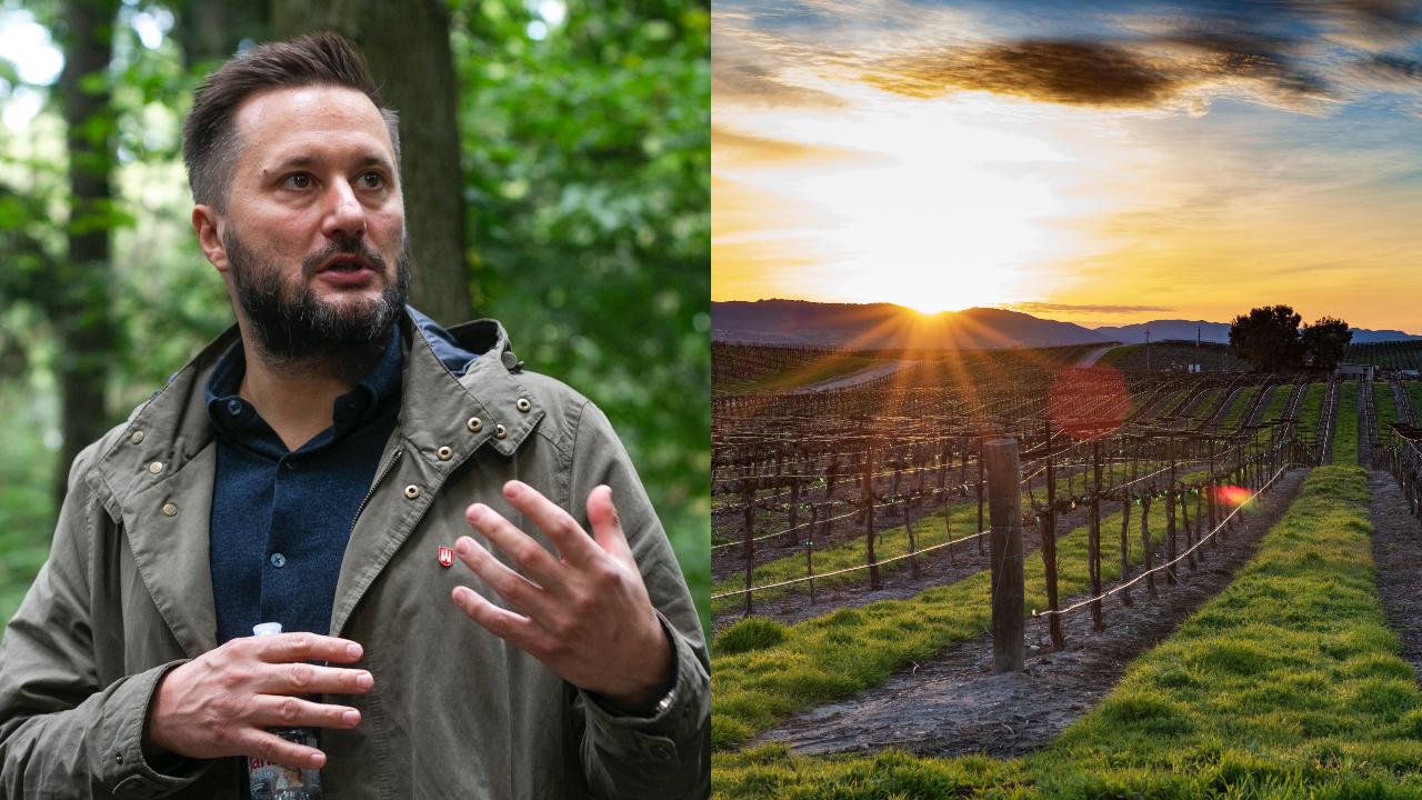 Matúš Vallo (TASR), Ilustračný obrázok (unsplash.com)