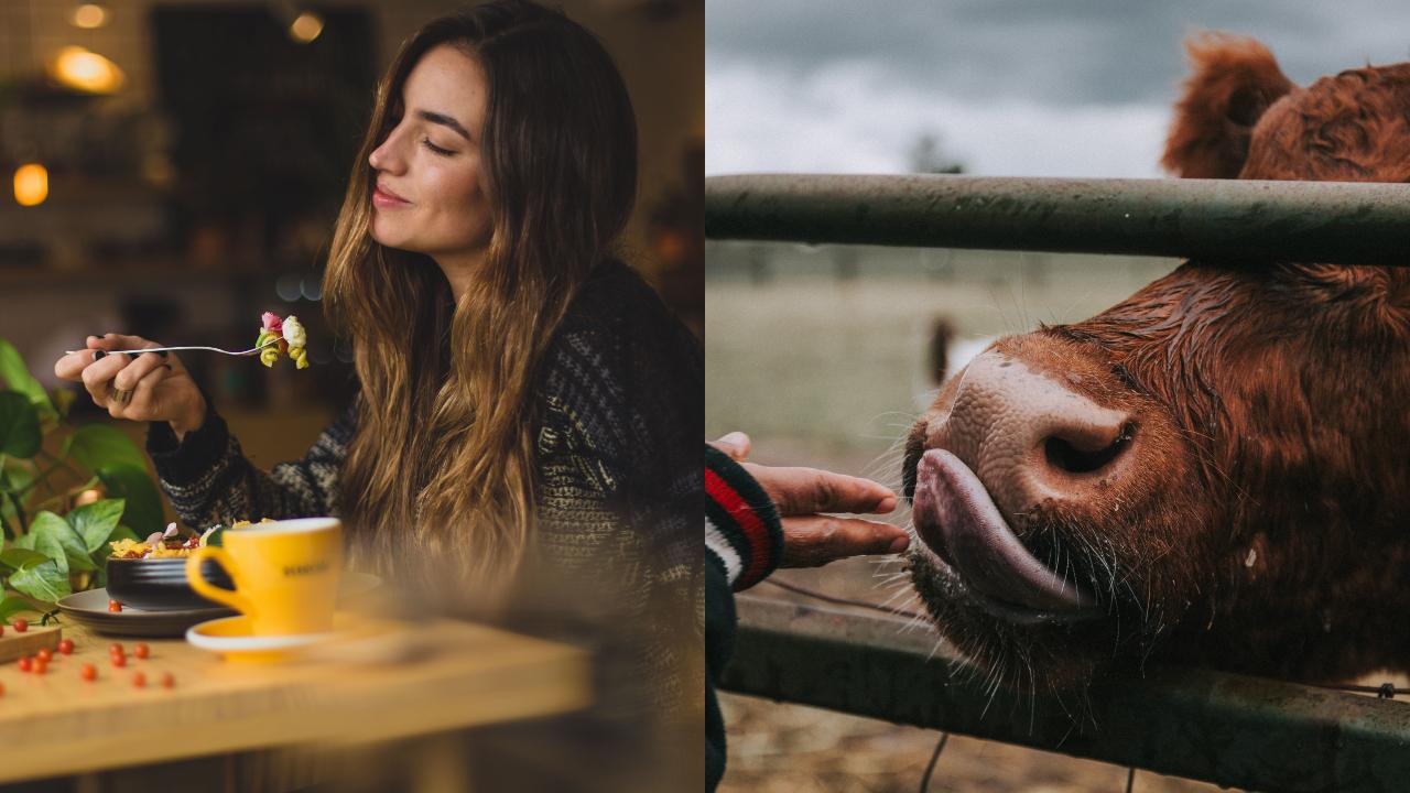 Ilustračný obrázok (unsplash.com)