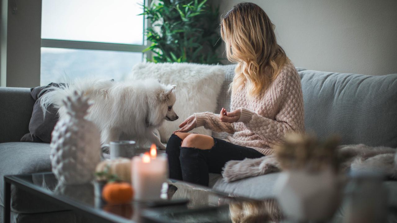 Ilustračný obrázok (unsplash.com)