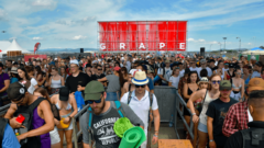 Festival Grape: Nikto