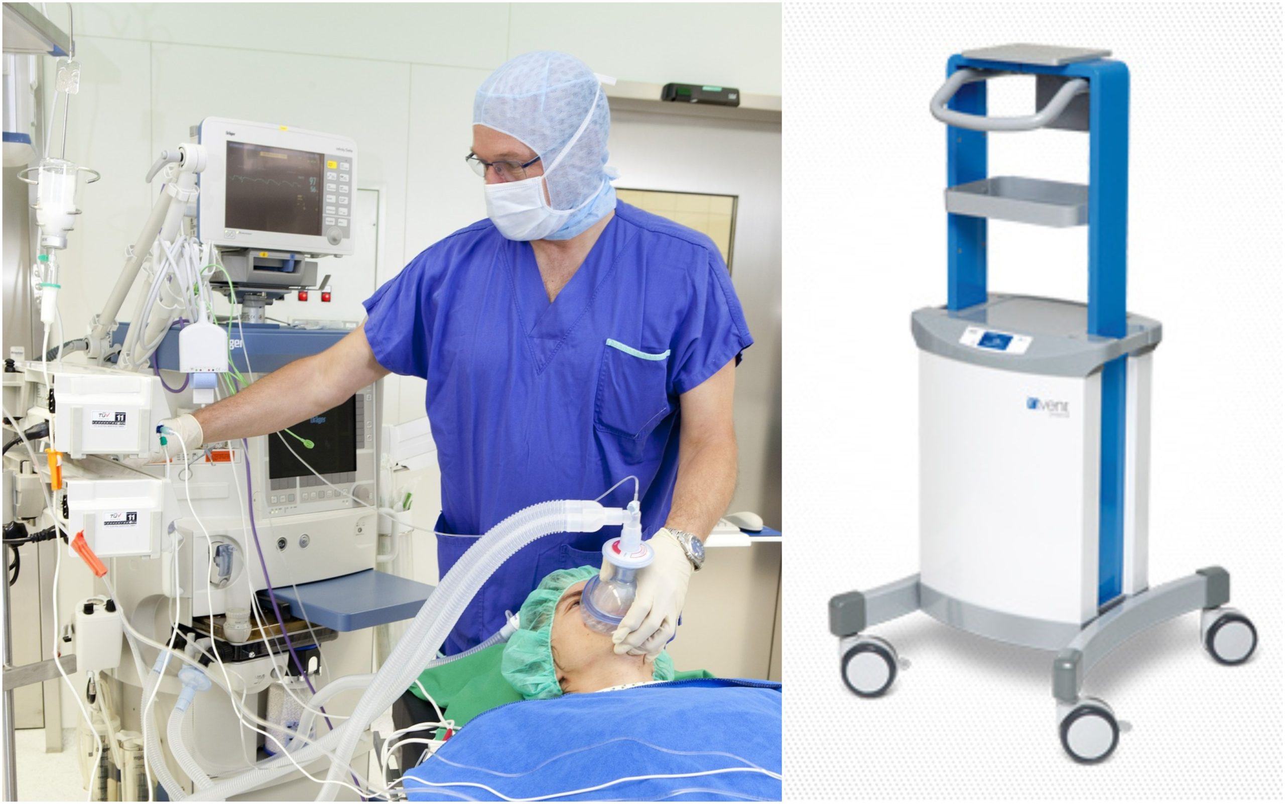 BeFunky-collage (15)