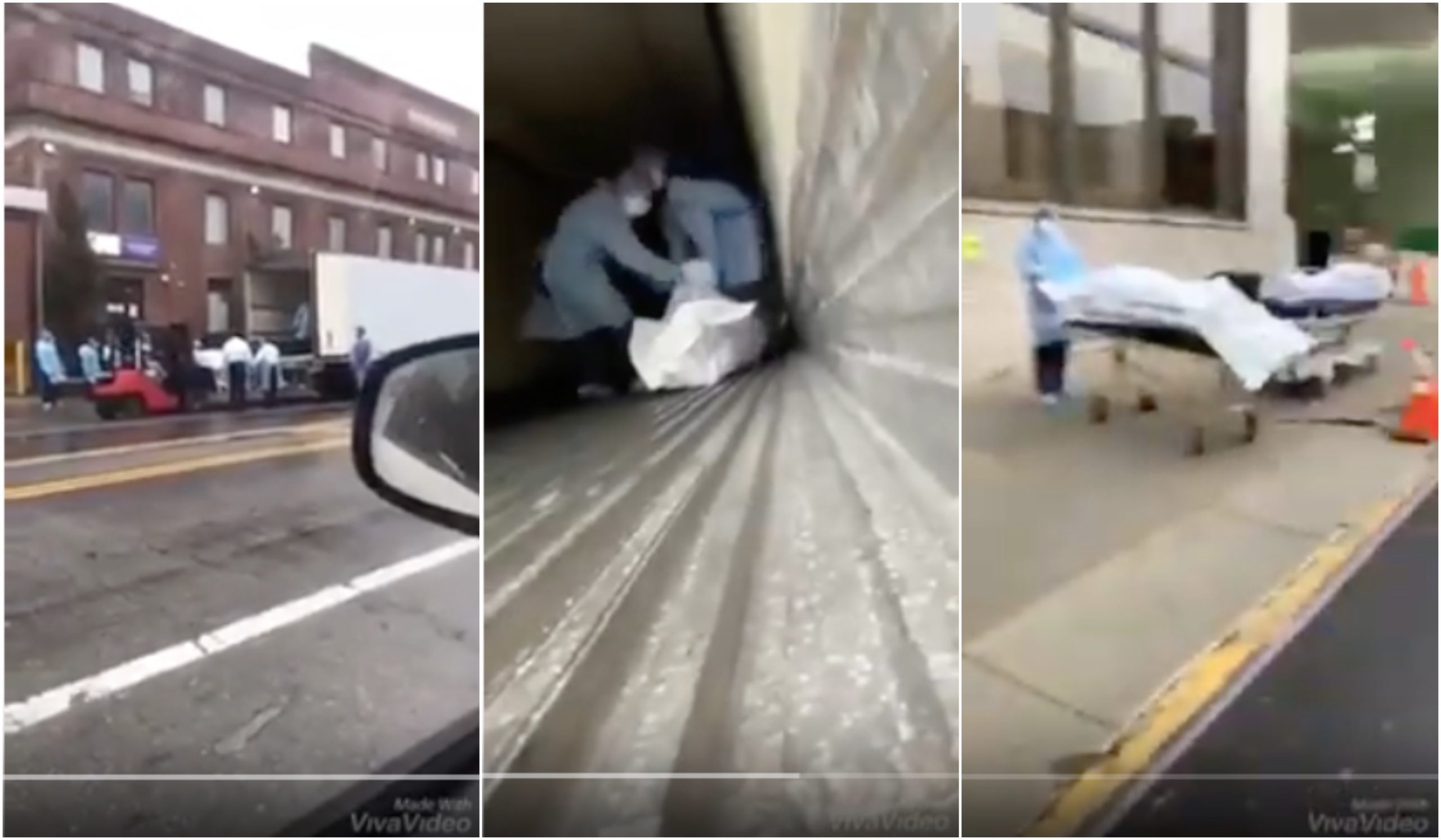 BeFunky-collage (26)