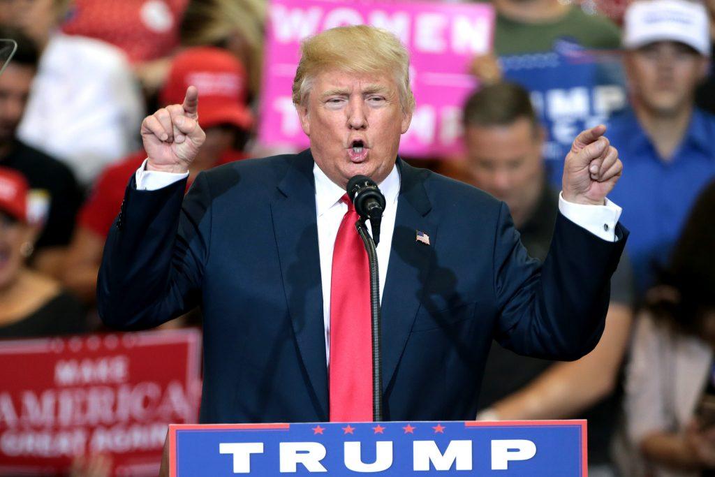 30566445701_21096da2e9_k-1024×683