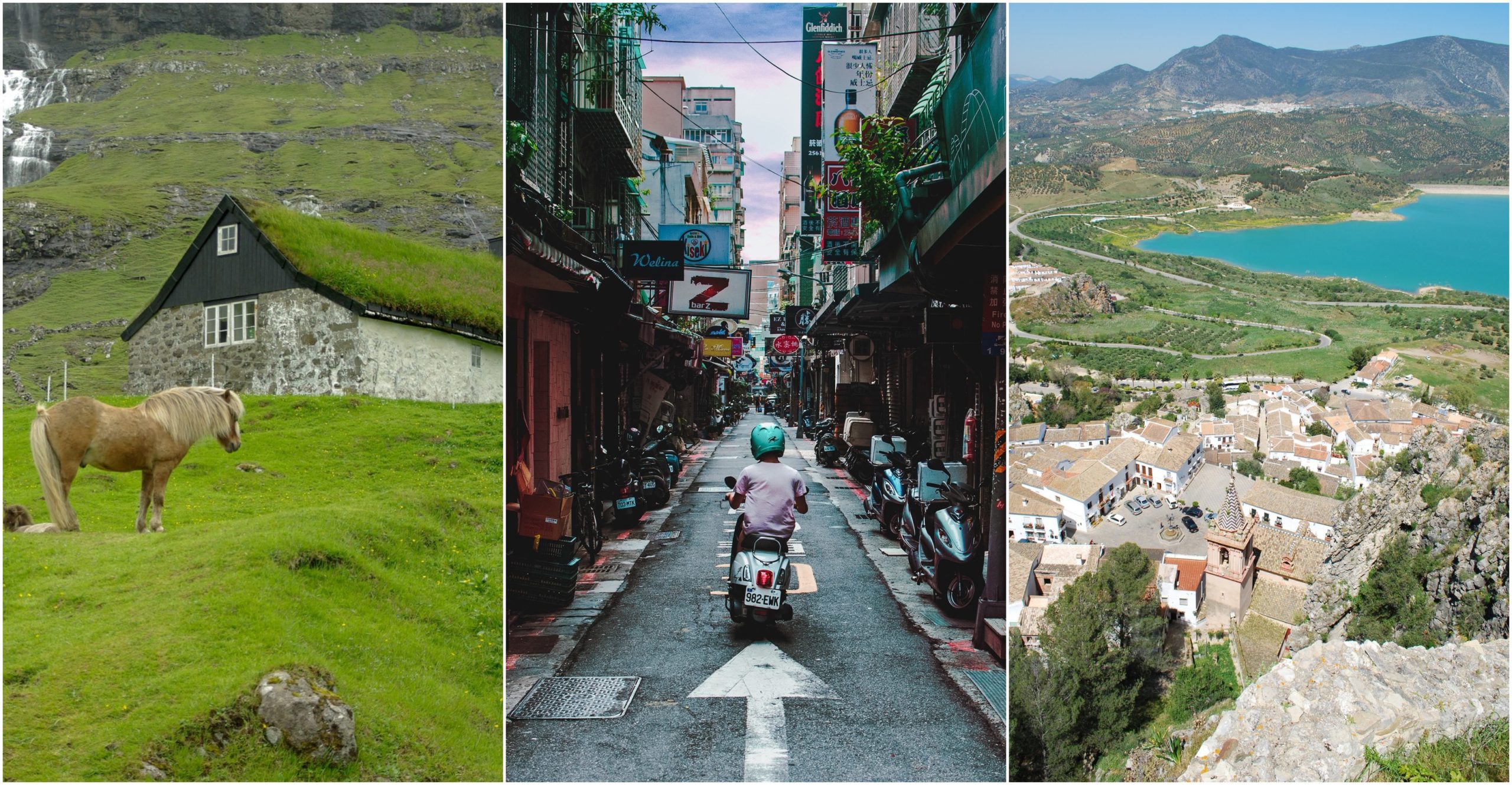 BeFunky-collage (47)