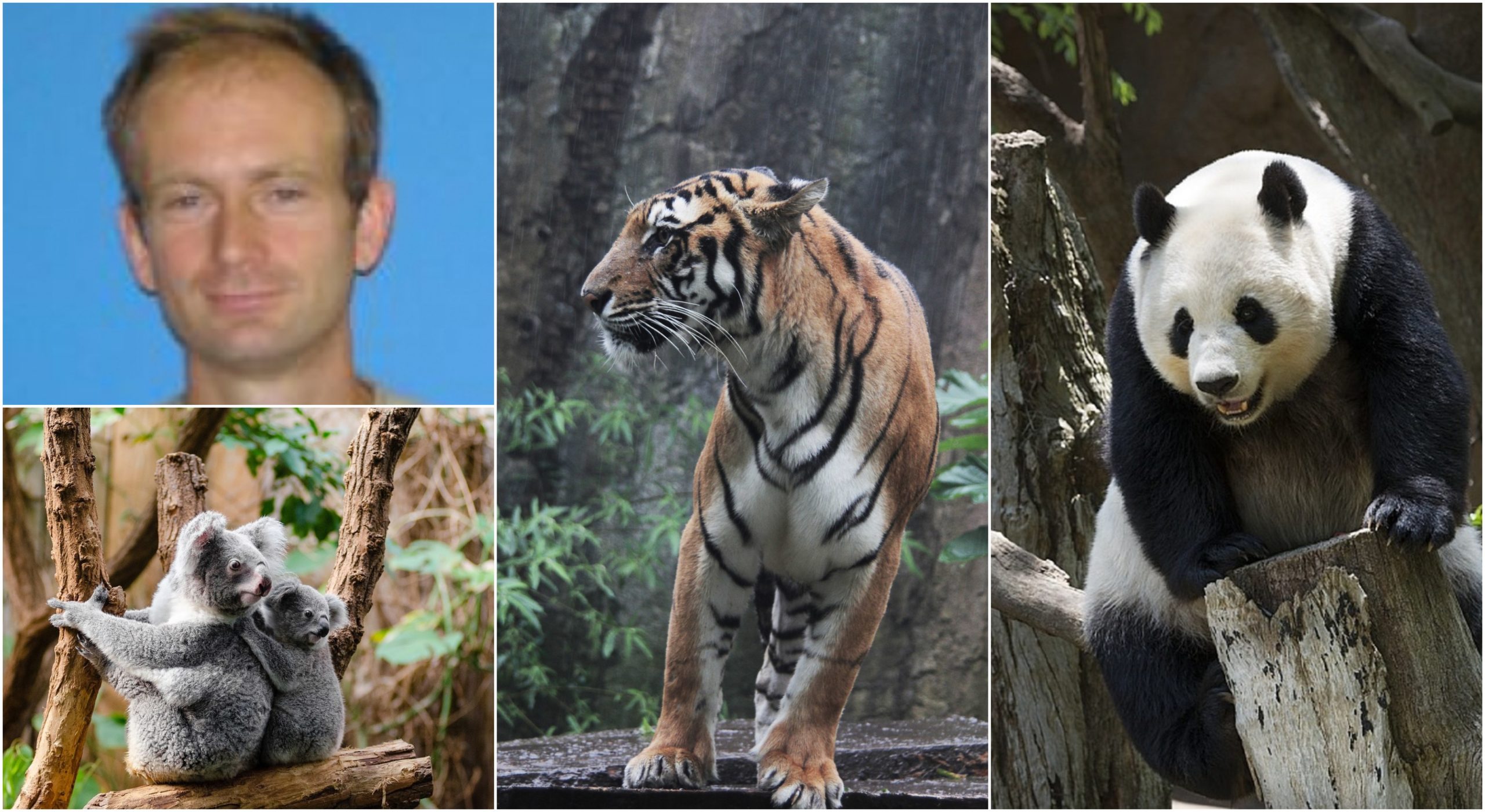 BeFunky-collage (49)