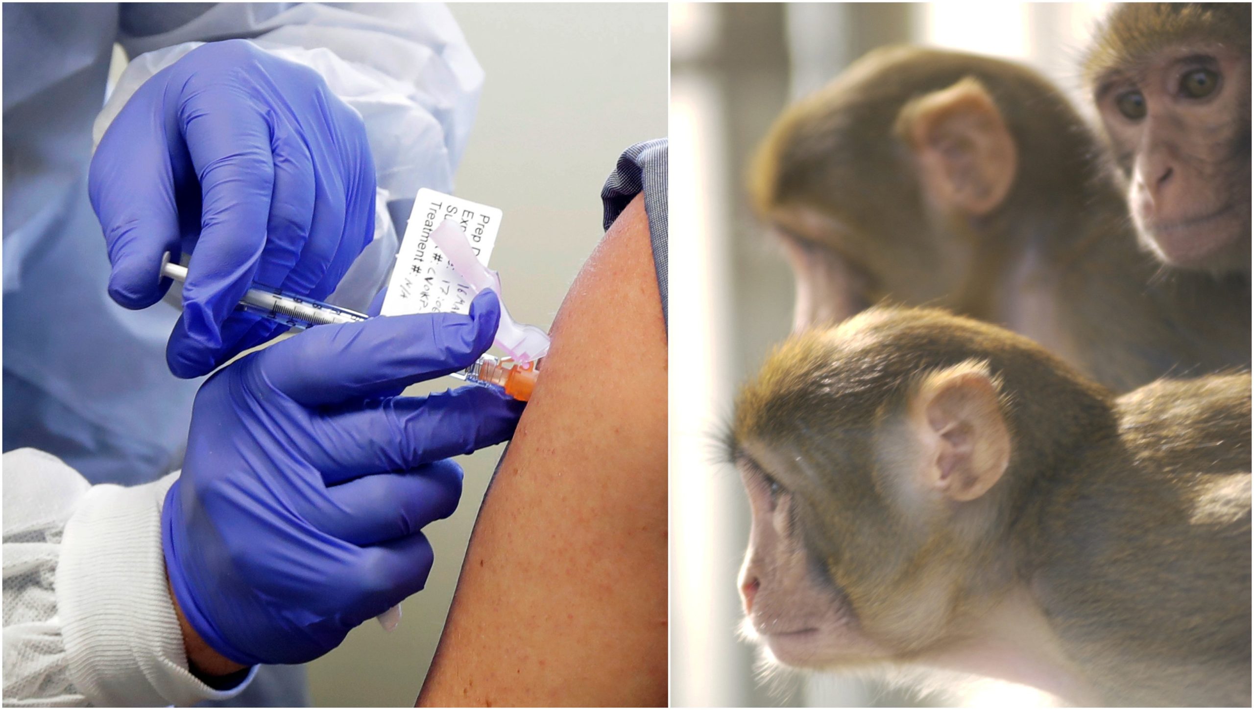 BeFunky-collage (54)